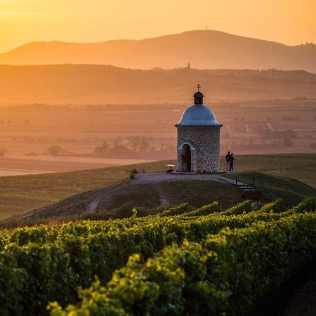 Vinoza - Ubytovani A Vinny Sklep Velke Bilovice Rulandova Zewnętrze zdjęcie