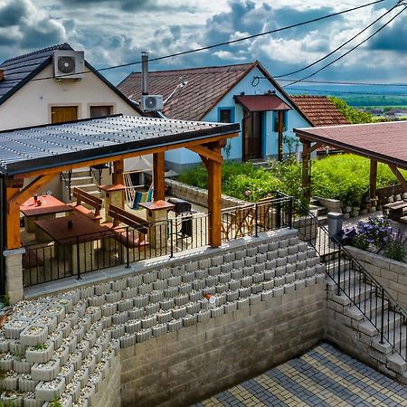 Vinoza - Ubytovani A Vinny Sklep Velke Bilovice Rulandova Zewnętrze zdjęcie