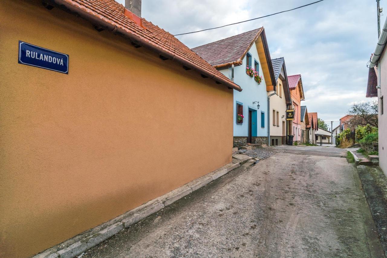 Vinoza - Ubytovani A Vinny Sklep Velke Bilovice Rulandova Zewnętrze zdjęcie