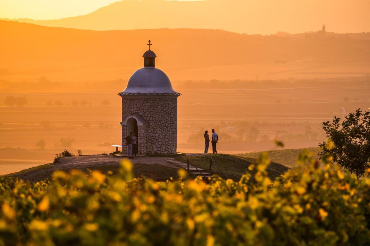 Vinoza - Ubytovani A Vinny Sklep Velke Bilovice Rulandova Zewnętrze zdjęcie