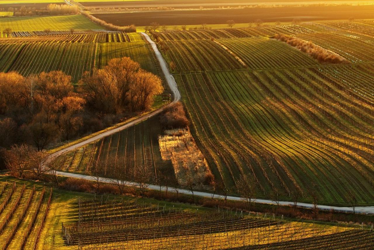 Vinoza - Ubytovani A Vinny Sklep Velke Bilovice Rulandova Zewnętrze zdjęcie