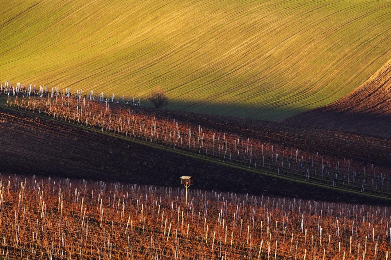 Vinoza - Ubytovani A Vinny Sklep Velke Bilovice Rulandova Zewnętrze zdjęcie