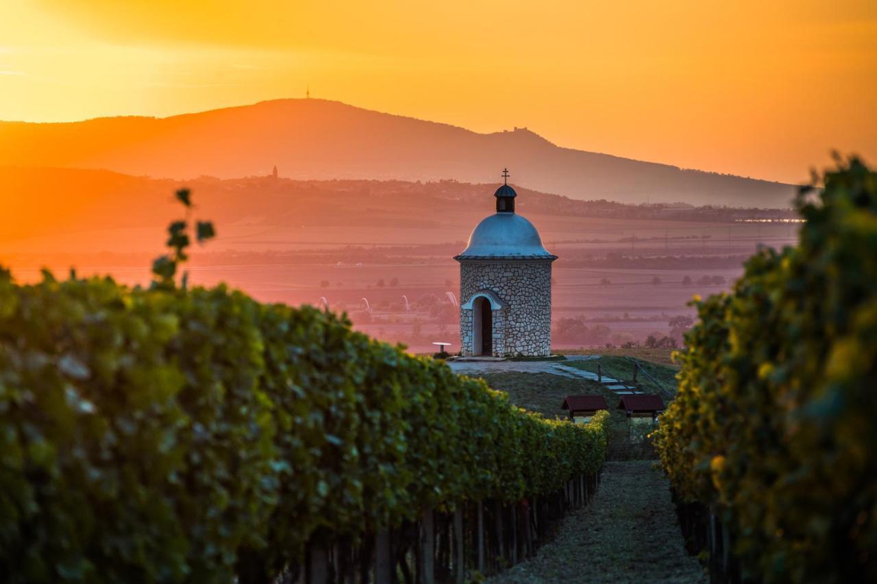 Vinoza - Ubytovani A Vinny Sklep Velke Bilovice Rulandova Zewnętrze zdjęcie