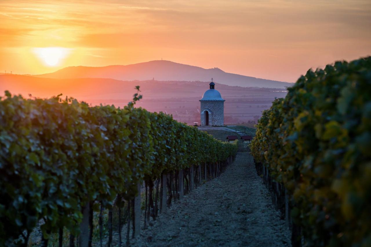 Vinoza - Ubytovani A Vinny Sklep Velke Bilovice Rulandova Zewnętrze zdjęcie