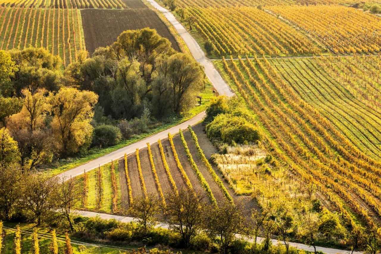 Vinoza - Ubytovani A Vinny Sklep Velke Bilovice Rulandova Zewnętrze zdjęcie